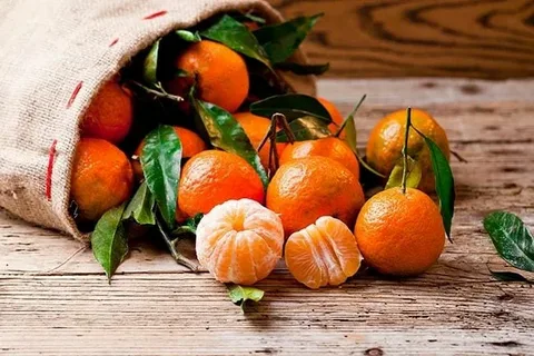 تصویر 1 از خریدکنسانتره نارنگی مازندران + قیمت فروش استثنایی
